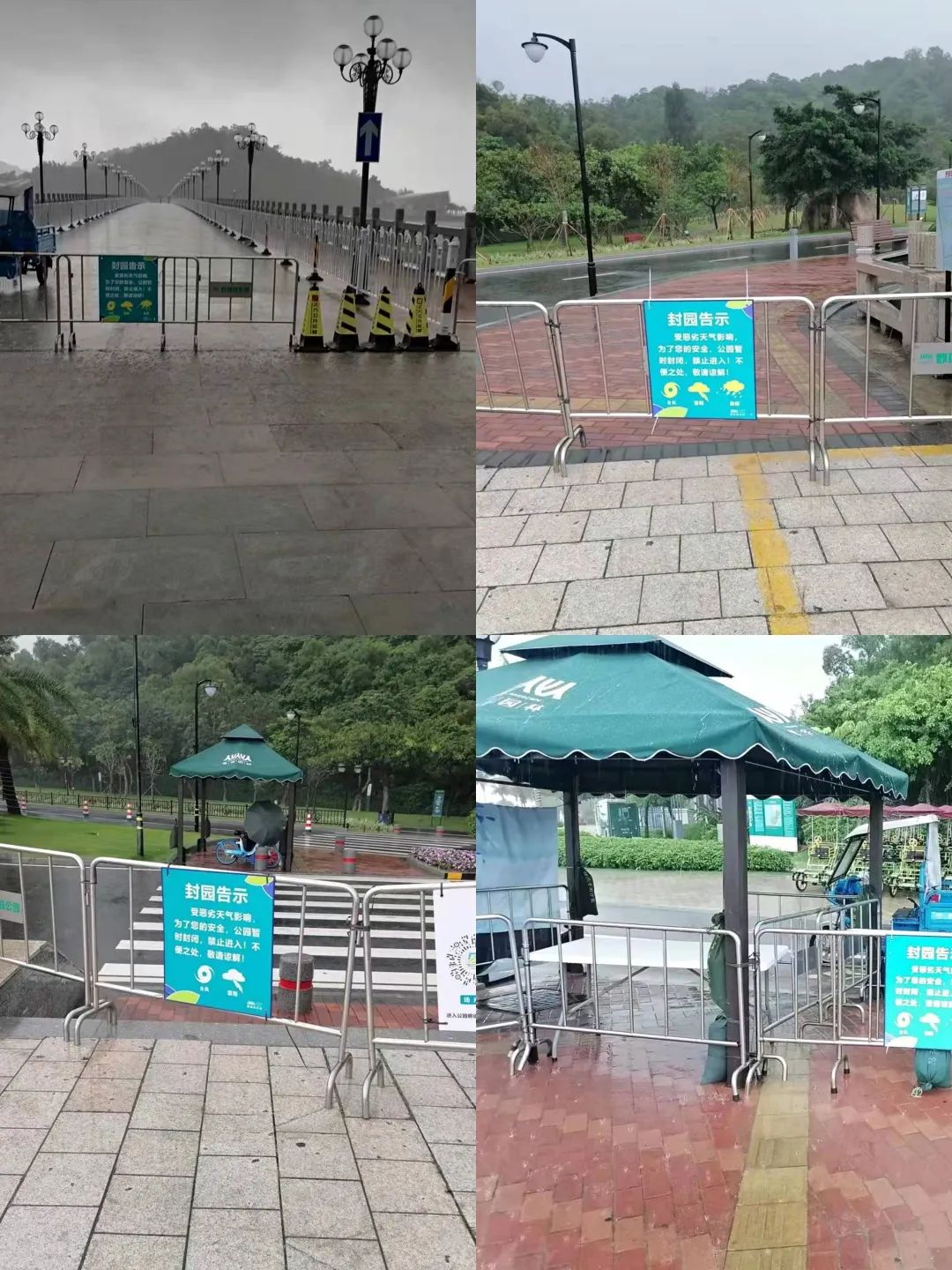 1652670768666438.jpg 0a70ca4a995d35444ce928e3e45c6448.jpg